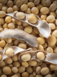 le-plein-de-magnesium-en-10-aliments-91243